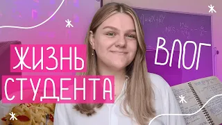 день из жизни студента-экономиста