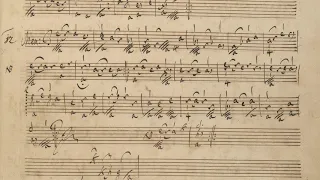 S. L. Weiss - Menuet in D Major WeissSW 2.6