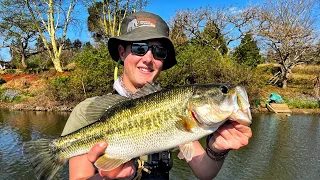 Umgeni River and Albert Falls Bass Fishing KZN South Africa 🇿🇦