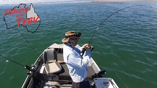 Fishing with Salted Baits - Does it work.