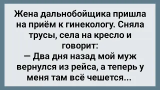 Жена Дальнобойщика Пришла на Прием к Гинекологу! Сборник Свежих Анекдотов! Юмор!