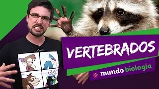 🐍 Zoologia (6/6): Vertebrados - Biologia - ENEM