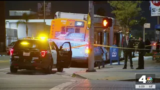 Violent attacks continue to plague LA Metro system