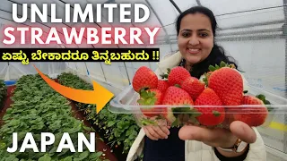 Delicious !! We visited a strawberry picking farm in Japan to eat unlimited Japanese strawberries 🍓