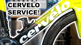CERVELO Service And Chain Waxing