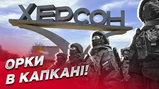 ❗ Рашисты оказались в капкане! У них есть только два варианта! | Свитан