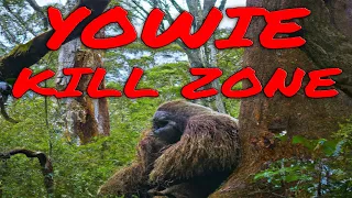 YOWIE KILL ZONE AUSTRALIA  - yowie - australian yowie - yowie sightings - yowie encounters