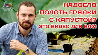 Особые грядки для капусты | Настало время высадки рассады #дача #огород