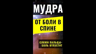 Болит спина - используй мудры! ⚜ Прати-мудра, чтобы снять боль в позвоночнике #shorts #short