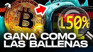 BITCOIN: GANA como las BALLENAS con ESTE TRUCO: ENTERATE DE TODO LO QUE HACEN en Margex!