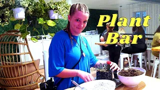 NEW PLANT and DECOR CHOICES FOR KATYA's ROOM. FAMILY VLOG.