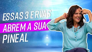 Essas 3 Ervas Abrem a sua PINEAL!