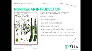 Zija Presentation