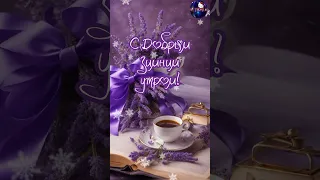 Доброе февральское утро🌷