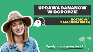 Uprawa bananów w ogrodzie - wywiad z Maćkiem Iskrą | Egzotyczna Pogawędka #9