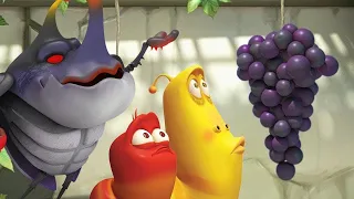 LARVA - PROCURA DAS UVAS | Desenhos para crianças | LARVA Official