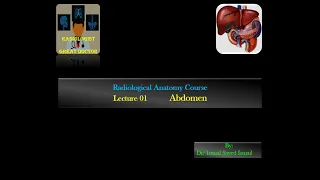 Radiological Anatomy Course -Lecture 01 -Abdomen Part(4)