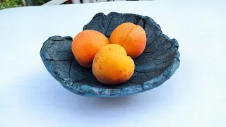 Как сделать очень красивую тарелку из листа тыквы и гипса