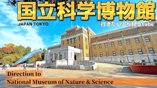 🐋【4K】国立科学博物館へご案内【行き方/アクセス/上野駅/上野公園】Direction to National Museum of Nature & Science🇯🇵TOKYO Travel