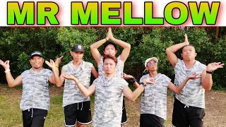 MR MELLOW I Don't play with fire I Remix I Tiktok Viral Dance workout I Teambaklosh