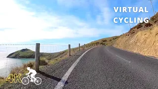 Indoor Cycling Workout Scenery Video With Music | Virtual Bike Ride Otago Peninsula Taiaroa Head