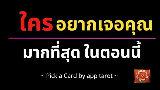 ใครอยากเจอคุณมากที่สุดในตอนนี้ 👨👩ใครอยากเจอคุณ|PICK A CARD