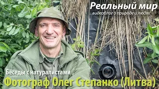 Лесная студия Олега Степанко. Секреты съёмки журавлей и крупных хищных птиц.