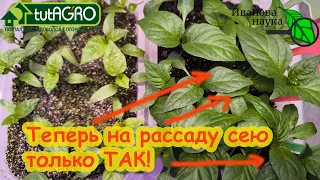 Теперь семена на рассаду сею ТОЛЬКО ТАК! Другие способы больше не использую. Доказано результатами!