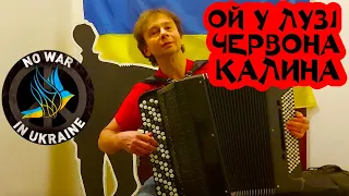 Ukrainian Patriotic Song / "Ой у лузі червона калина". Igor Zavadsky, Kyiv, Ukraine. 31.03.2022