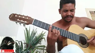 Meu Primeiro Violão de 7 Cordas Rx207 #rozini