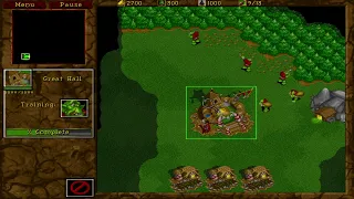 340. Warcraft II BNE: Customer Scenario - Ladder [Orc] (Forest Trail)