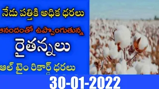 భారీగా పెరిగిన పత్తి ధరలు! today Patti rate increase|cotton rate today|today market rate