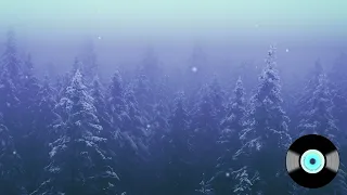 Shades of Winter Haze - Snow-Fi