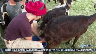 Con le sue capre da Duronia a Capracotta nel solco della Transumanza