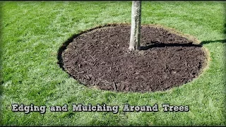 Edging and Mulching Around Trees - How To Redefine An Edge