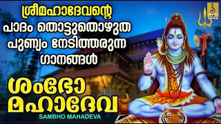 ശംഭോ മഹാദേവ | Sambho Mahadeva | Shiva Devotional Songs | Hindu Devotional Songs #shiva