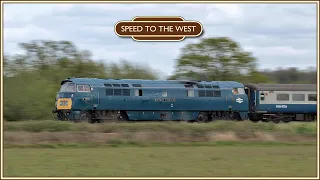 The Champ's Return: D1015 'Western Champion' on 'The One Way Wizzo'