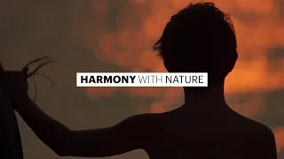 Harmony with Nature | The Black Stallion (1979)