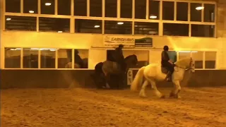 Gnarls Barkley Crazy Equestrian mix 2018