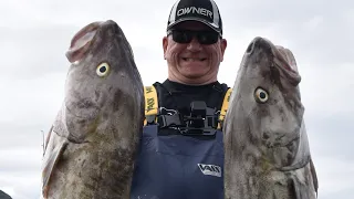 40lb+ Cod in Abundance | Norway | XLyngen | Anglers World