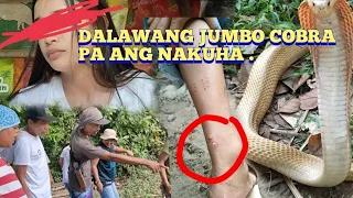 PART 2 .UPDATE SA DALAGA NA NAKAGAT NG COBRA  / HULE ANG DALAWANG JUMBO COBRA