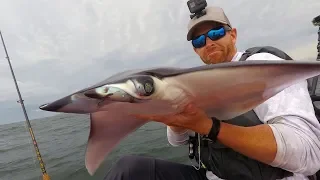 Kayak Fishing: Devil Rays, Whale Sharks & Roosterfish | Field Trips Panama