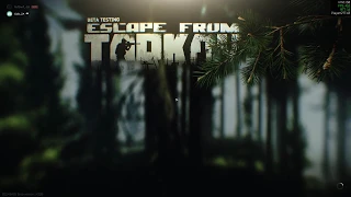 Escape From Tarkov 2020 03 28   13 44 36 02 Hackers