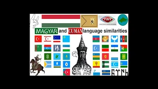 Magyar and Cuman language similarities