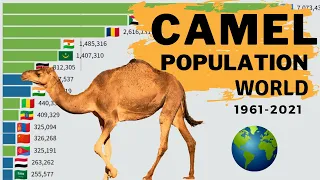 CAMEL Population in The World by Country (Domestic) | 1961-2021