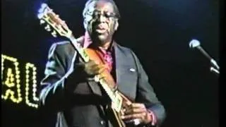 Albert King I'll Play The Blues For You Japan Blues Carnival 89 .flv