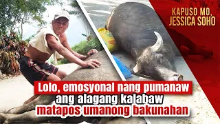 Lolo, emosyonal nang pumanaw ang alagang kalabaw matapos umanong bakunahan | Kapuso Mo, Jessica Soho