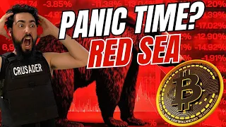 Bitcoin Price Crash! Crypto Altcoins RED SEA