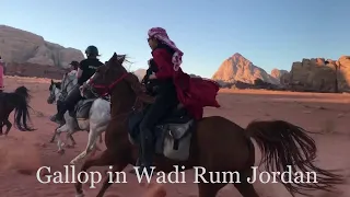 ワディラム乗馬 Wadi Rum horse riding Jordan Tracks