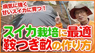 家庭菜園や農園で病気に強く甘いスイカ栽培の重要ポイント！水はけの良い鞍つき畝の作り方を徹底解説！【農園ライフ】